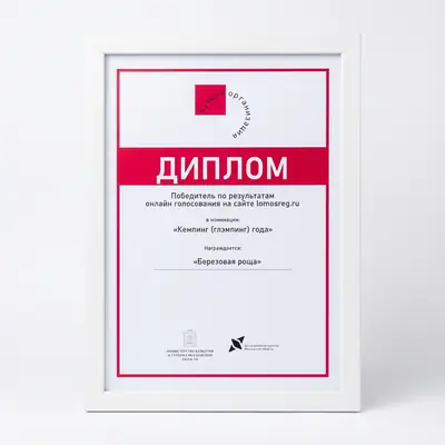 Диплом проекта открытьбазу.рф, 4